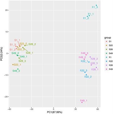 Effects and Mechanisms of Symbiotic Microbial Combination Agents to Control Tomato Fusarium Crown and Root Rot Disease